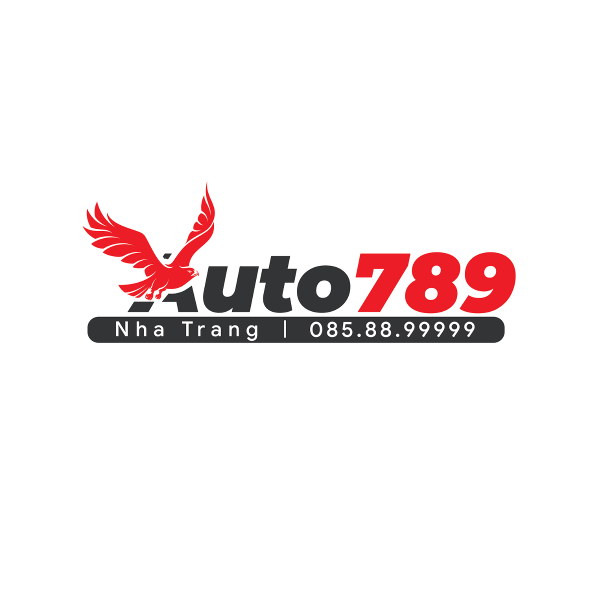 CÔNG TY TNHH MTV AUTO 789